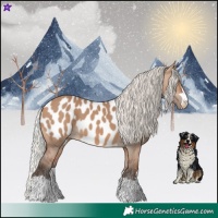 Horse Color:Silver Brown Dun Near Leopard