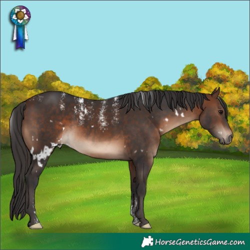 Horse Color:Powder White White Spotted Brown 