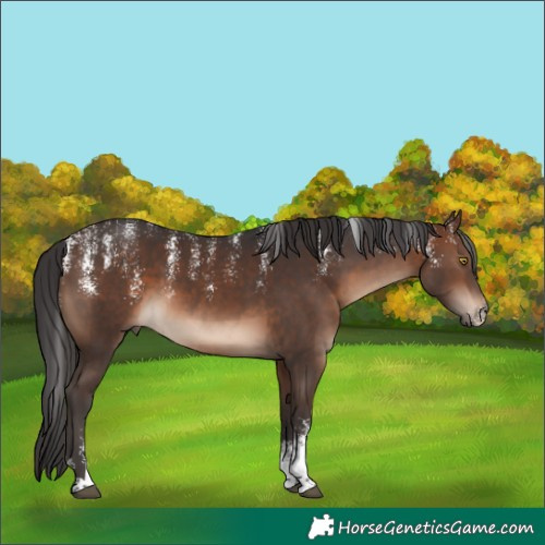 Horse Color:Powder White Brown
