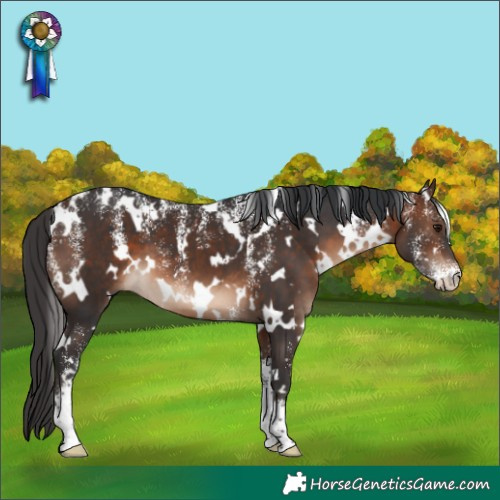 Horse Color:Powder White White Spotted Brown 