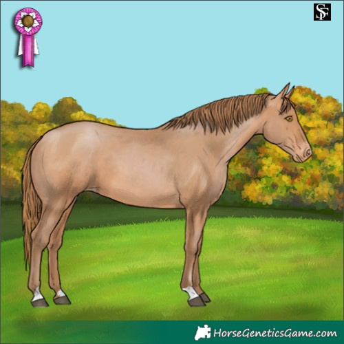 Horse Color:Brown Pearl Varnish
