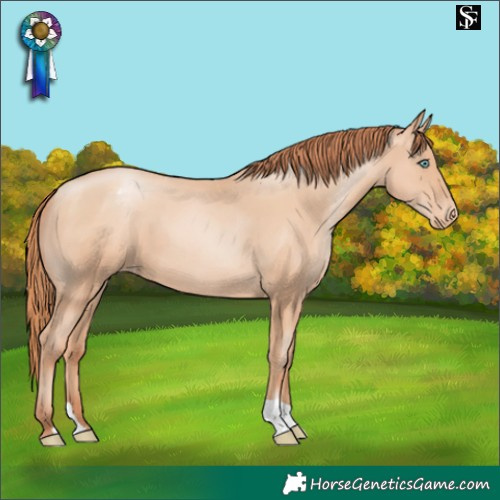 Horse Color:Sable Champagne Pearl Varnish 