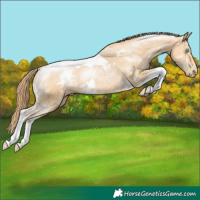 Horse Color:White Spotted Buckskin Pearl Tobiano