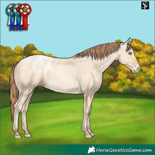 Horse Color:Sable Cream Champagne Pearl Appaloosa 