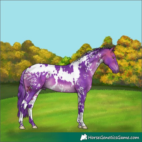 Horse Color:Watercolor White Spotted Bay
