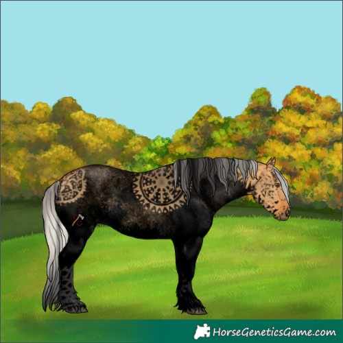 Horse Color:Void White Spotted Silver Buckskin Dun