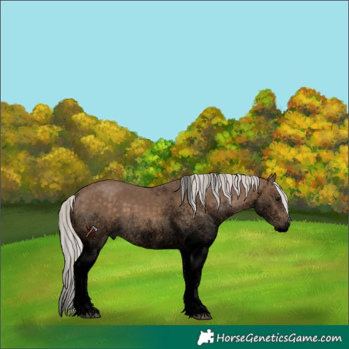Horse Color:Void White Spotted Silver Smoky Black