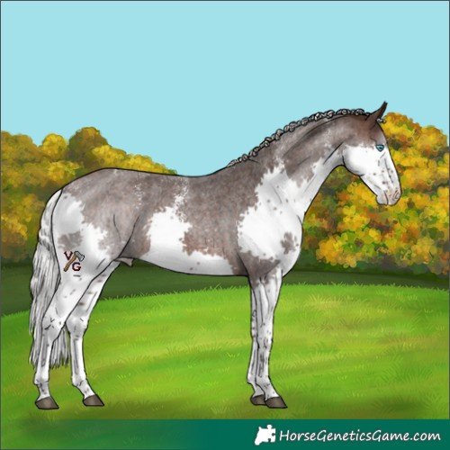 Horse Color:Powder White Silver Brown Roan Splash Appaloosa 