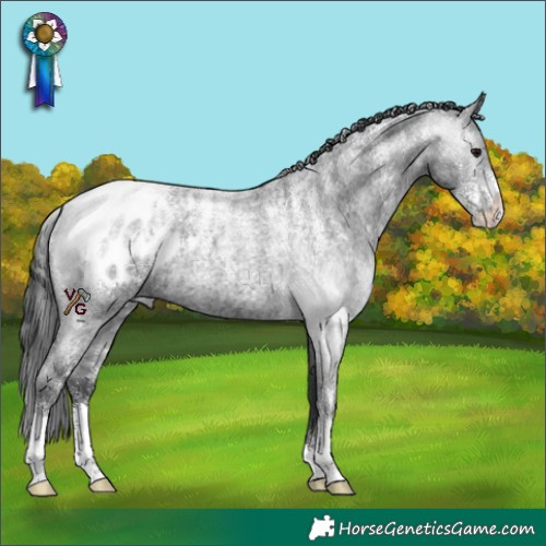 Horse Color:Powder White Blue Roan Appaloosa 