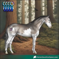 Horse Color:Blue Onyx Splash