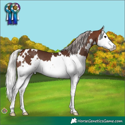 Horse Color:White Spotted Silver Bay Sabino Splash