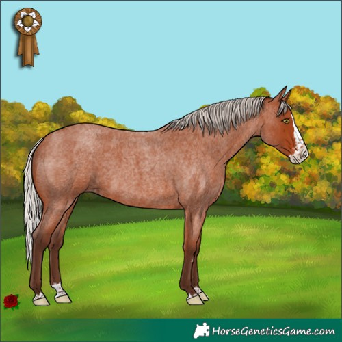 Horse Color:Silver Bay Roan Sabino Splash