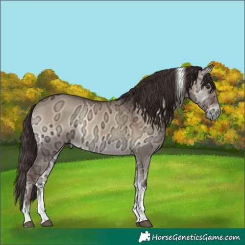Horse Color:Liver Red Dun Ice Onyx Tobiano Rabicano