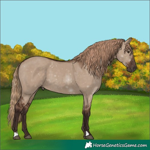 Horse Color:Liver Red Dun