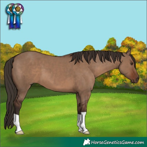Horse Color:Liver Red Dun 