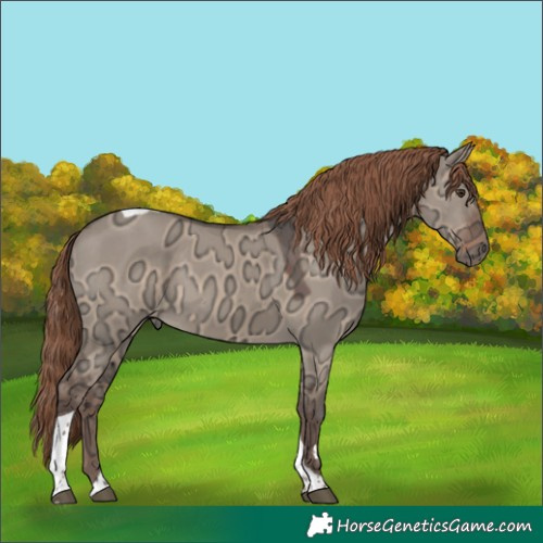 Horse Color:Liver Red Dun Ice Tobiano 