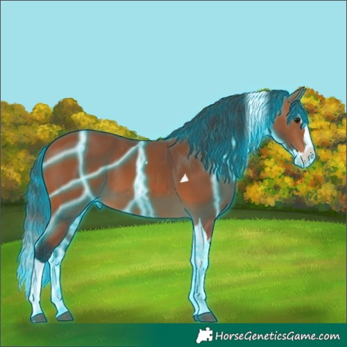 Horse Color:Thunderstruck Bay Splash Tobiano 