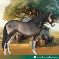 Horse Color:Blue Onyx 