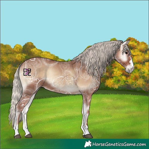 Horse Color:Silver Blue Onyx Ice Rabicano 