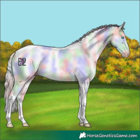 Horse Color:Nacre Perlino Tobiano