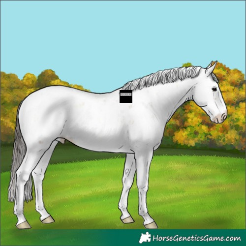 Horse Color:Bay Ice Onyx Sabino