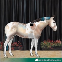 Horse Color:Bay Ice Onyx Tobiano 