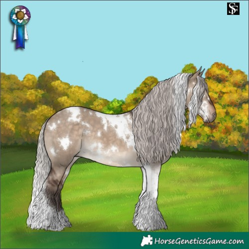Horse Color:White Spotted Silver Brown Dun Tobiano