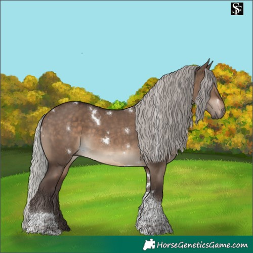 Horse Color:White Spotted Silver Brown Dun Tobiano
