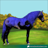 Horse Color:Void Watercolor Brown Splash