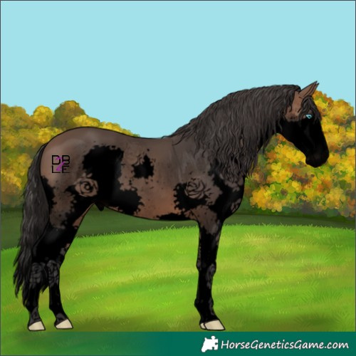 Horse Color:Void Brown Splash