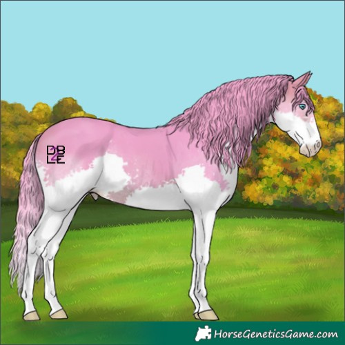 Horse Color:Watercolor Brown Splash