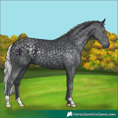 Horse Color:Silver Black Chinchilla 
