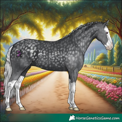 Horse Color:Silver Black Chinchilla Splash