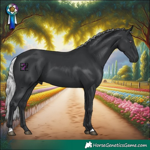 Horse Color:Silver Black Chinchilla 