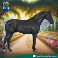 Horse Color:Silver Black Chinchilla