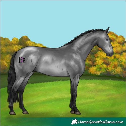 Horse Color:Gray Bay Chinchilla