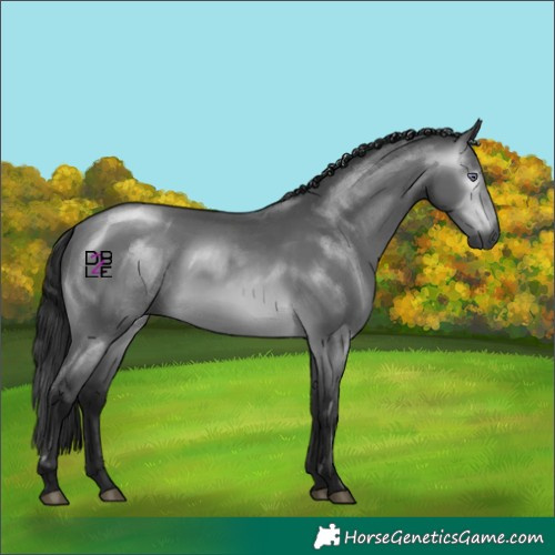 Horse Color:Gray Bay Chinchilla