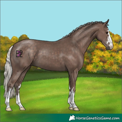 Horse Color:Silver Black 
