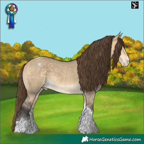 Horse Color:Buckskin Dun Sabino Tobiano Varnish
