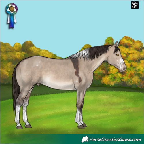 Horse Color:Brown Dun Sabino Tobiano Varnish