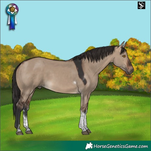 Horse Color:Brown Dun Sabino Tobiano