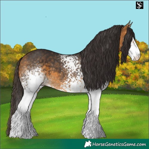 Horse Color:White Spotted Buckskin