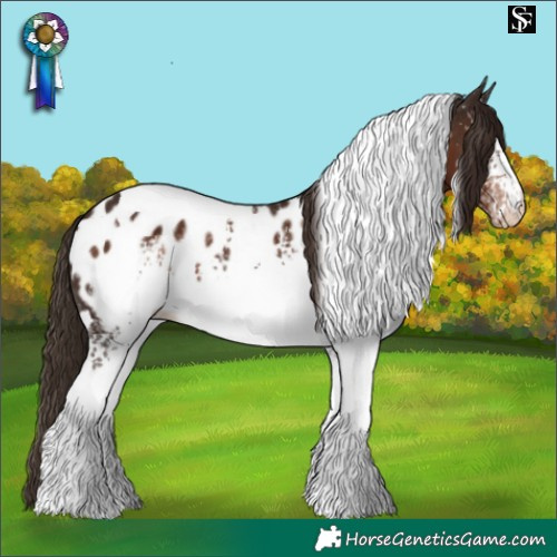 Horse Color:White Spotted Liver Chestnut Tobiano Appaloosa 