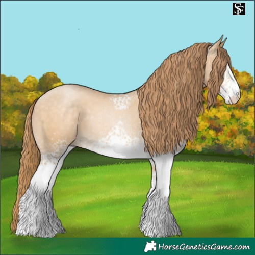 Horse Color:White Spotted Buckskin Pearl