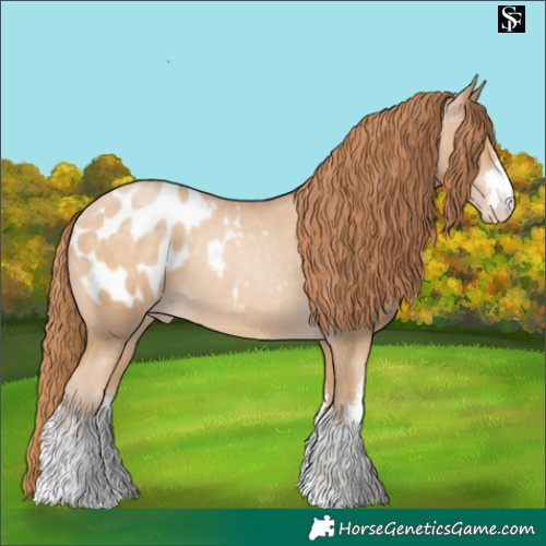 Horse Color:White Spotted Buckskin Pearl Blanket