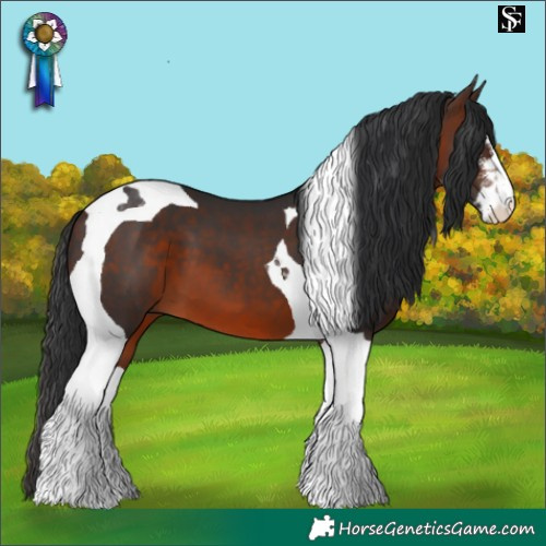 Horse Color:White Spotted Brown Tobiano