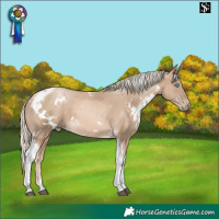 Horse Color:White Spotted Chocolate Palomino Snowdrop Tobiano 