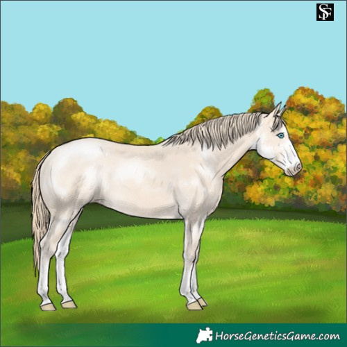 Horse Color:Perlino Sabino