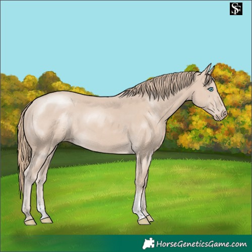 Horse Color:Smoky Creme Sabino 
