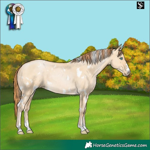 Horse Color:White Spotted Buckskin Pearl Dun Rabicano 